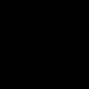 Meet your Posher, Dominique